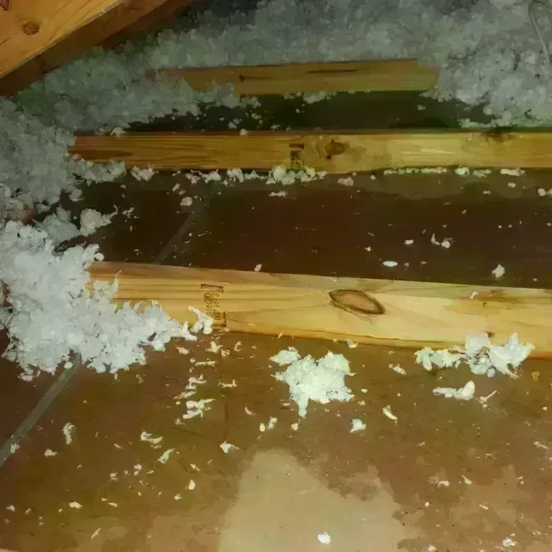 Attic Water Damage in Austin, TX