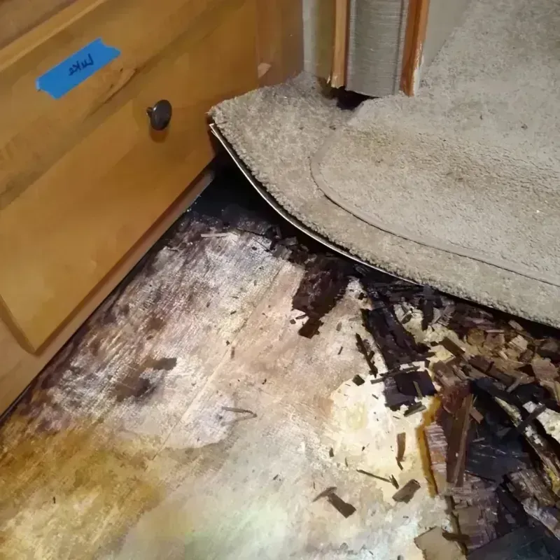 Wood Floor Water Damage in Austin, TX